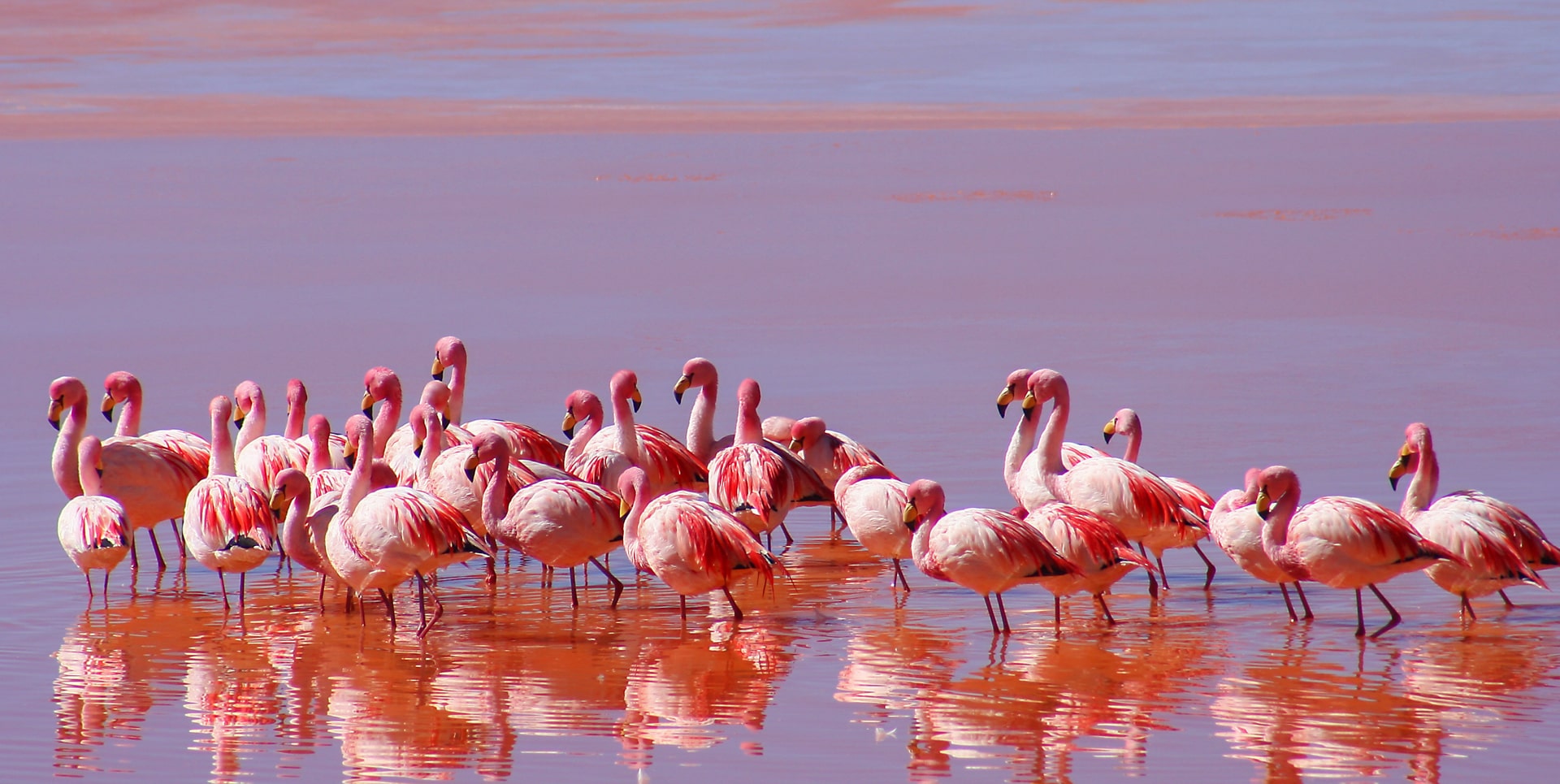 Top things to do at lake Natron on a Tanzania wildlife safari holiday