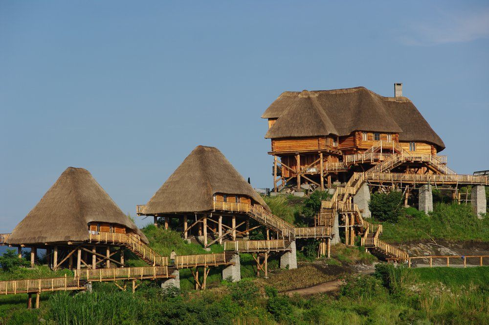 9 Days Uganda luxury safari gorilla and chimpanzee tracking