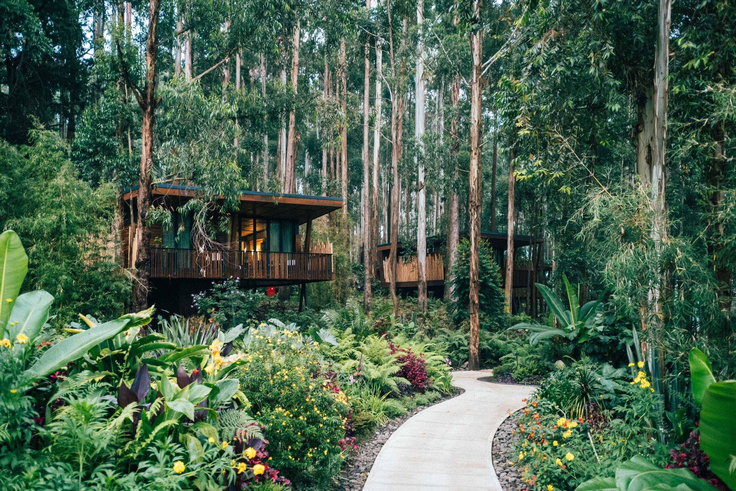 One & Only Gorilla's Nest Lodge