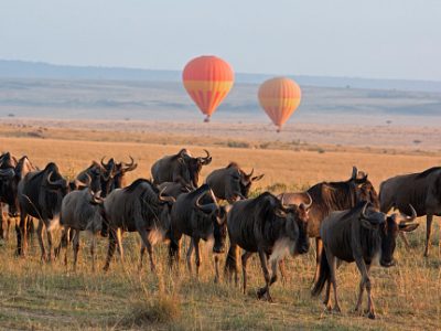 4 Days luxury Masai mara safari & optional Hot air balloon safari