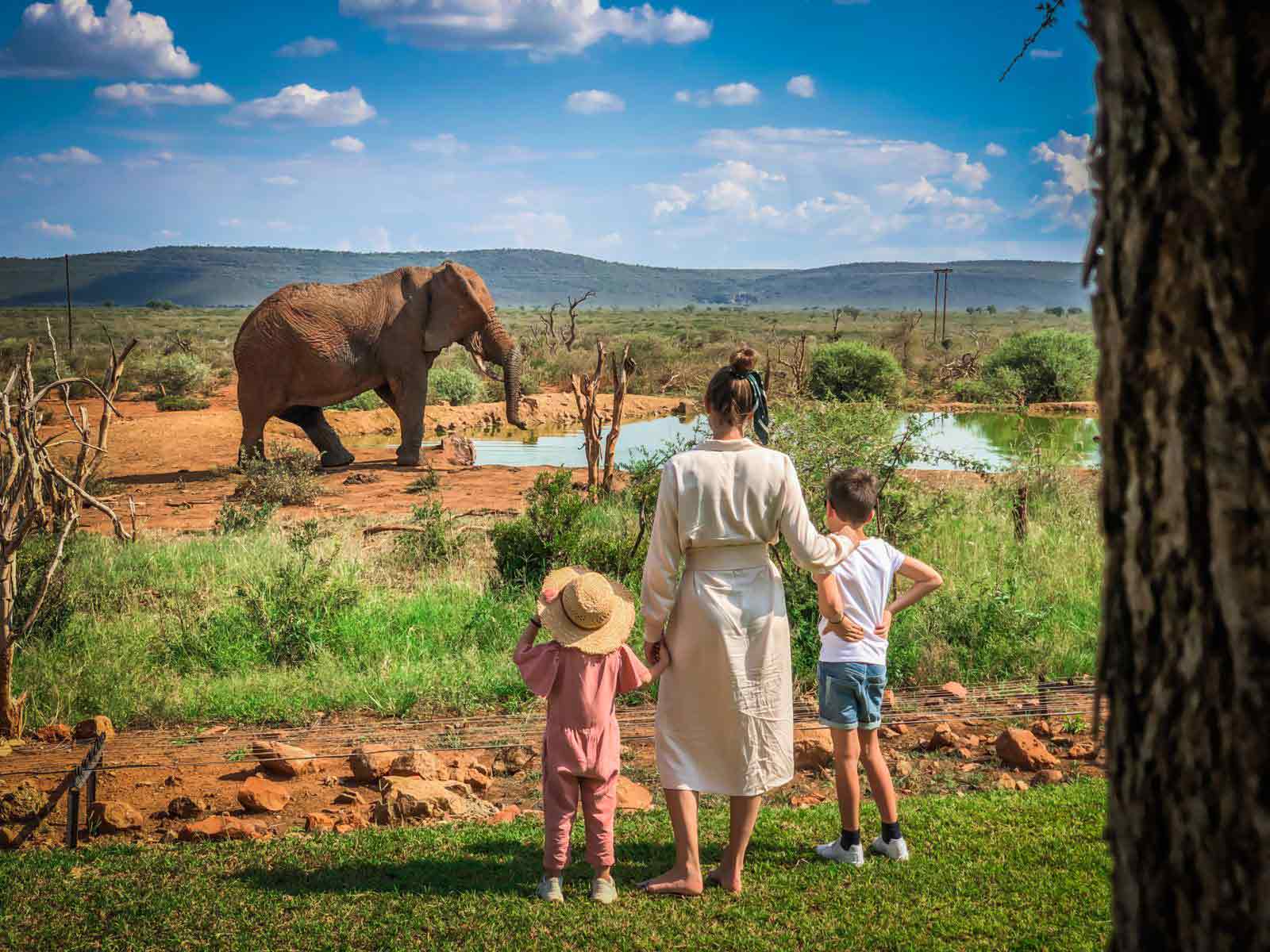 African family safaris