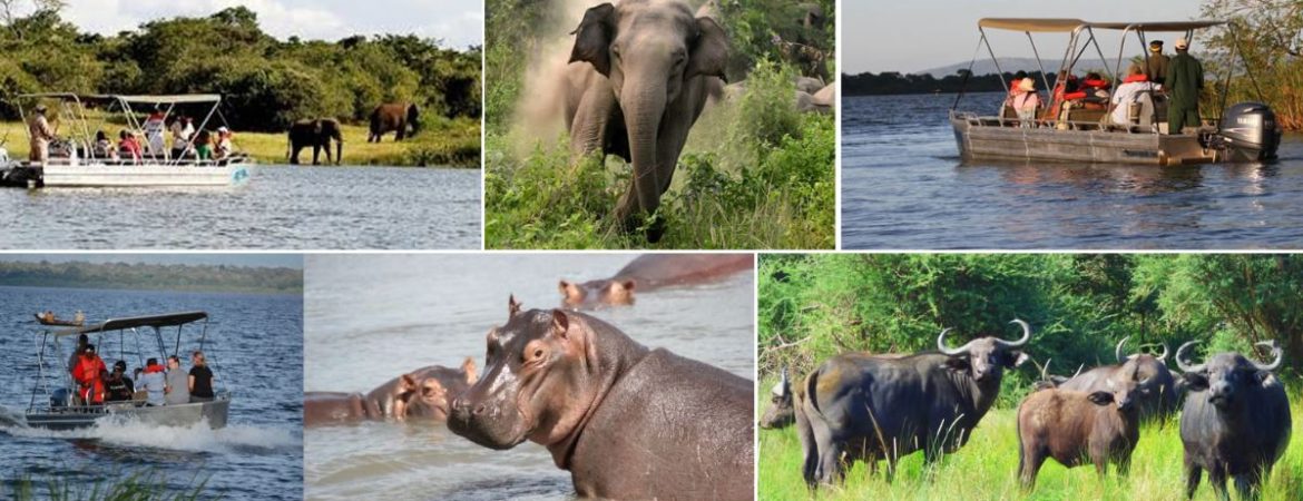What age is truly best for taking children on a safari in Rwanda?