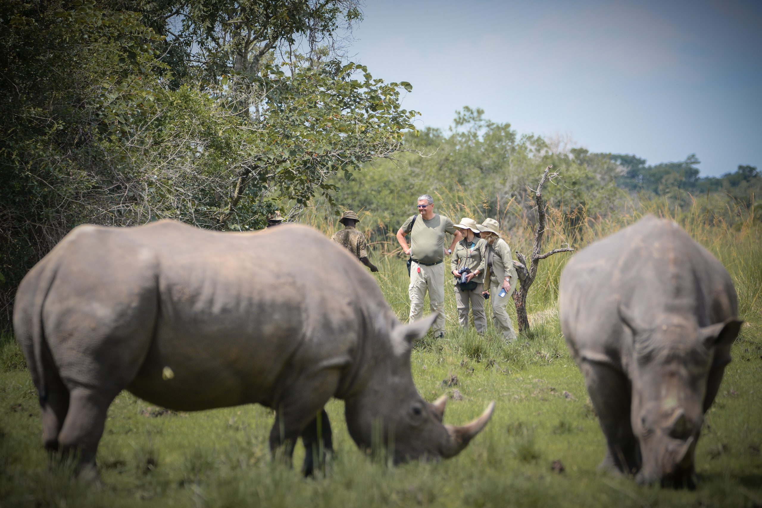 Can you combine rhino tracking at Ziwa with things to do in Murchison Falls?