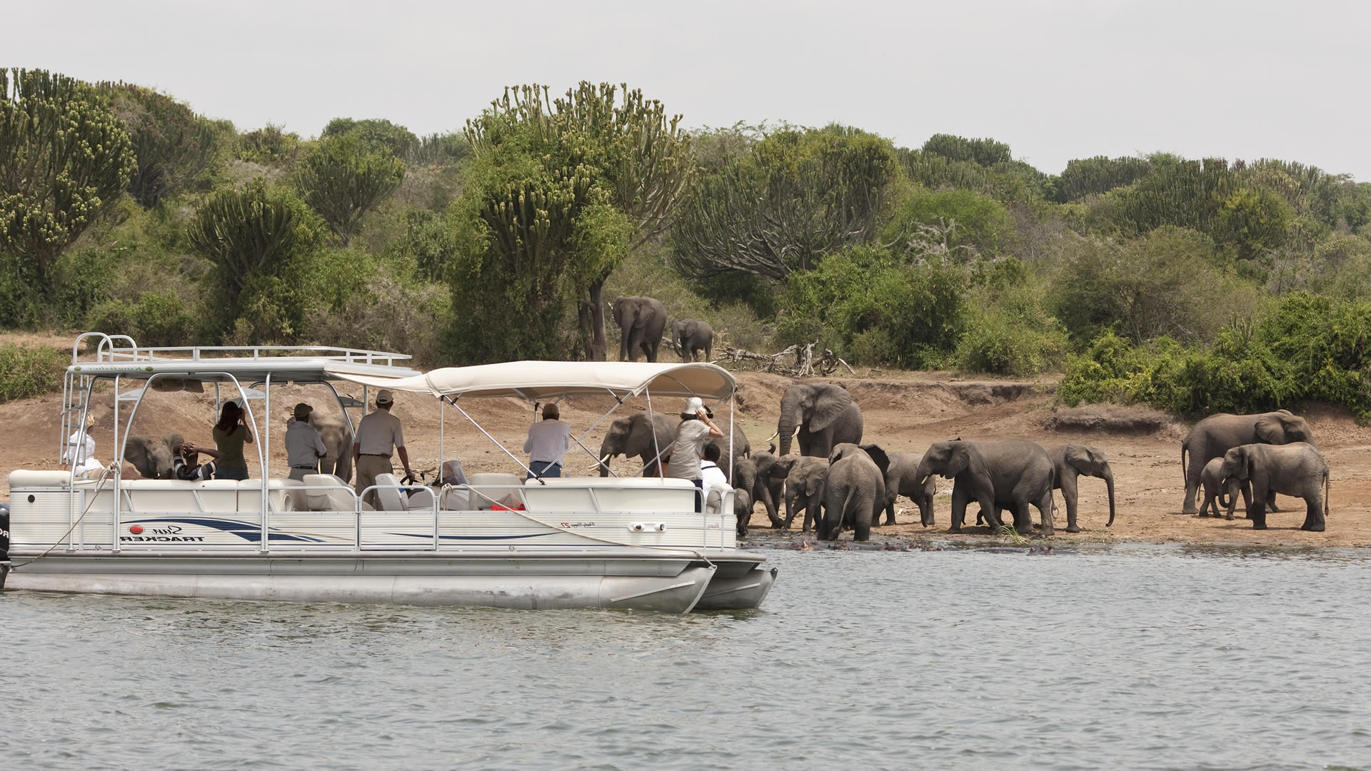 Is the Kazinga Channel boat cruise one of the best things to do in Queen Elizabeth National Park?