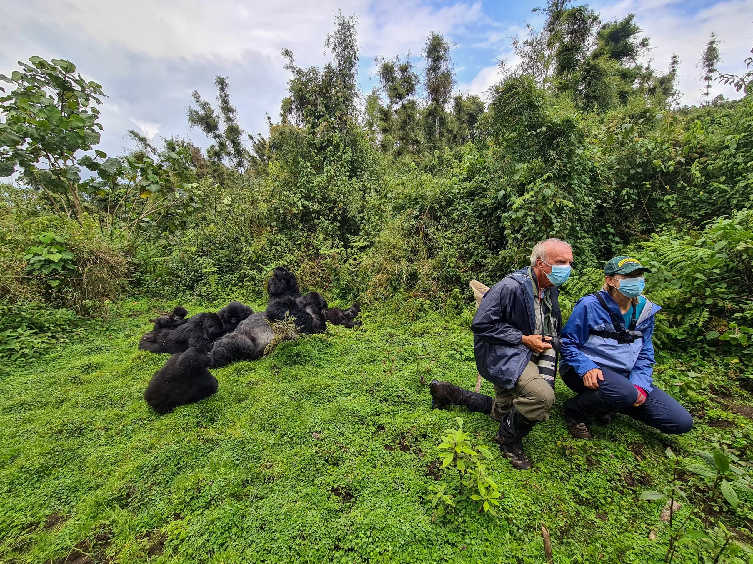 Can I combine gorilla trekking with a traditional wildlife safari in Uganda or Rwanda?