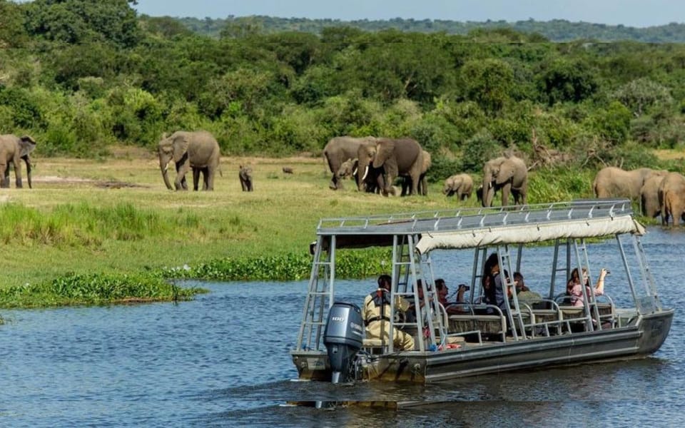 Are boat cruises on Lake Ihema popular things to do in Akagera national park