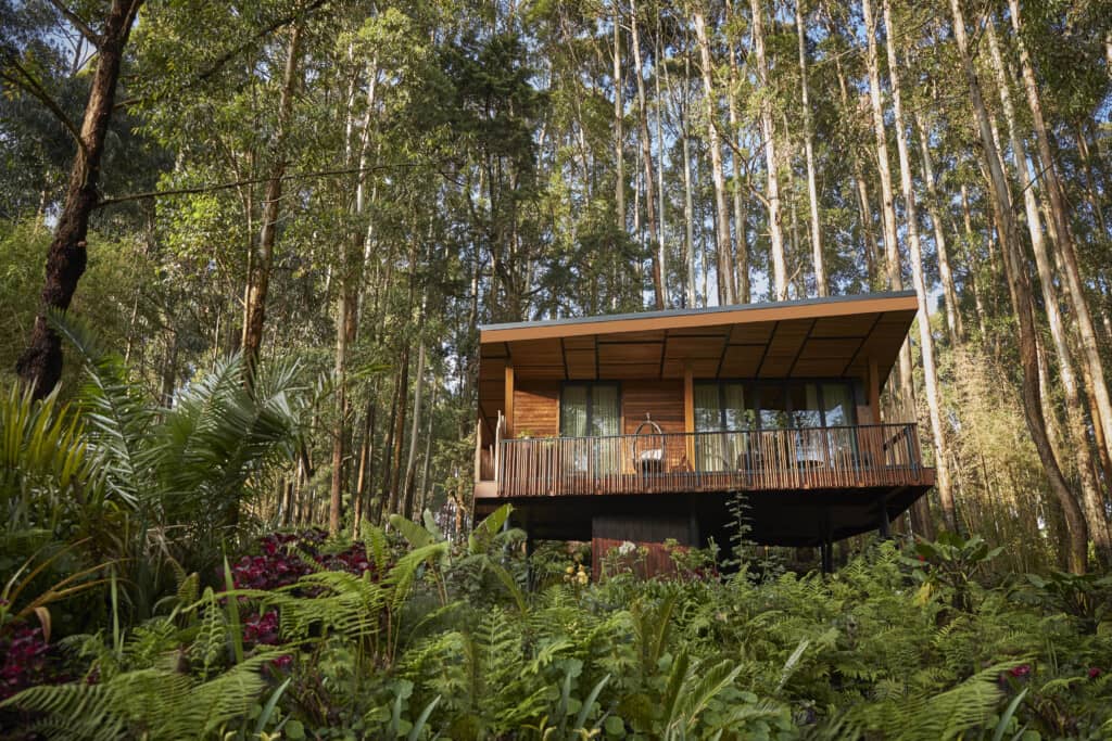 6 Days Luxury Rwanda honeymoon one & Only Gorill's Nest Luxury lodge & lake Kivu