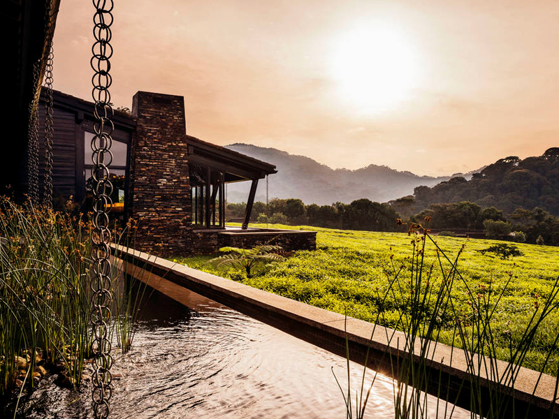 4 days luxury Nyungwe forest chimpanzee tracking one & only lodge