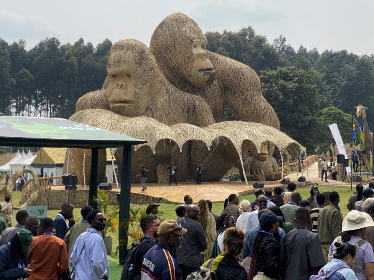 What cultural traditions are shown during the Kwita izina ceremony?