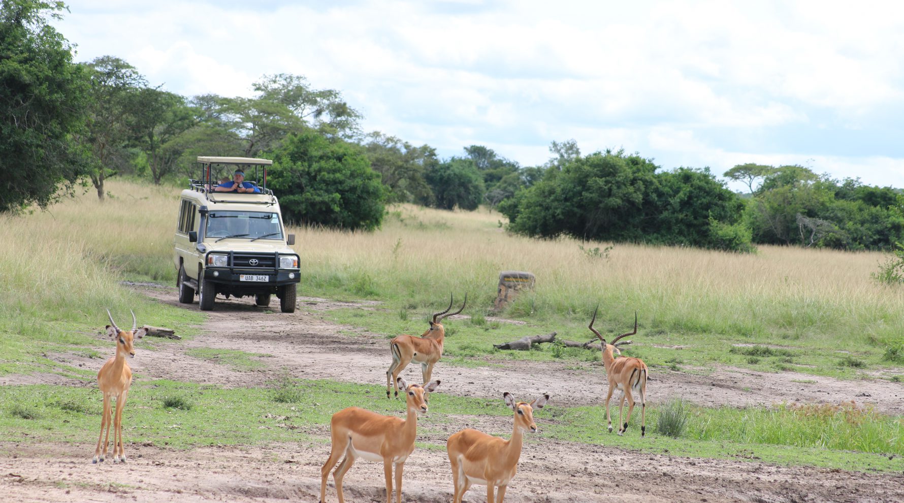 What wildlife can you spot during a morning game drive in Lake Mburo National Park on Uganda safari?