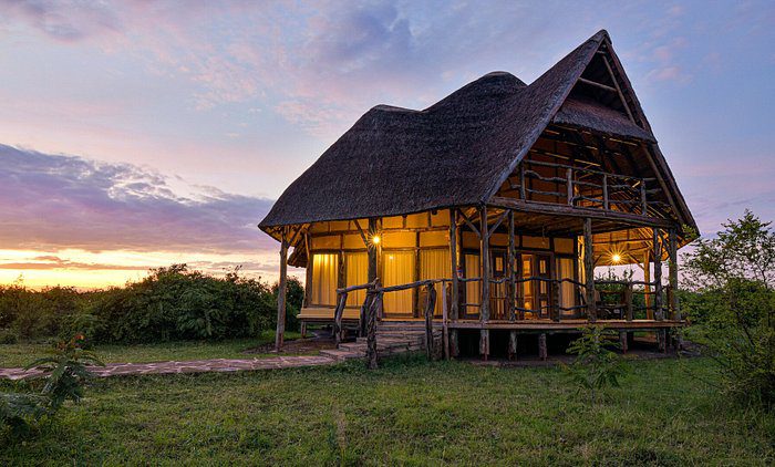 How to choose the best lodges in Queen Elizabeth national park on Uganda safari tour