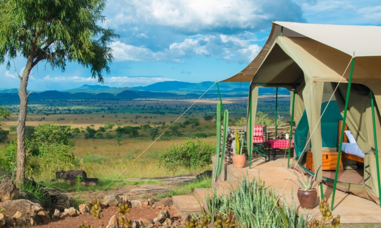 Considerations for choosing the best lodges in Kidepo valley national park