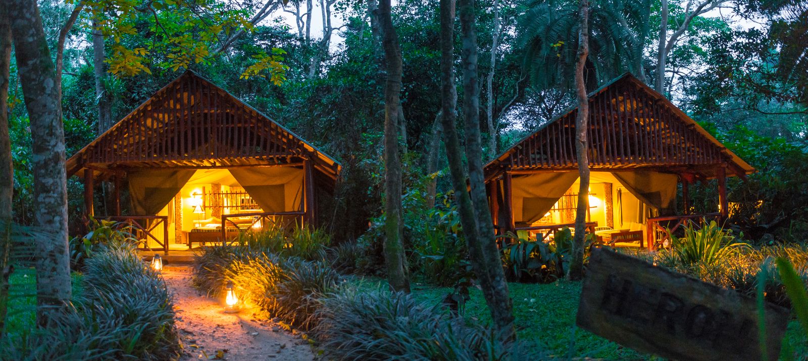 Tips for choosing the best lodges in Kibale Forest Park for chimpanzee tracking