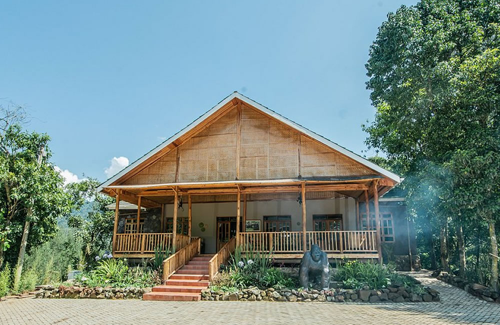 Gorilla leisure lodge