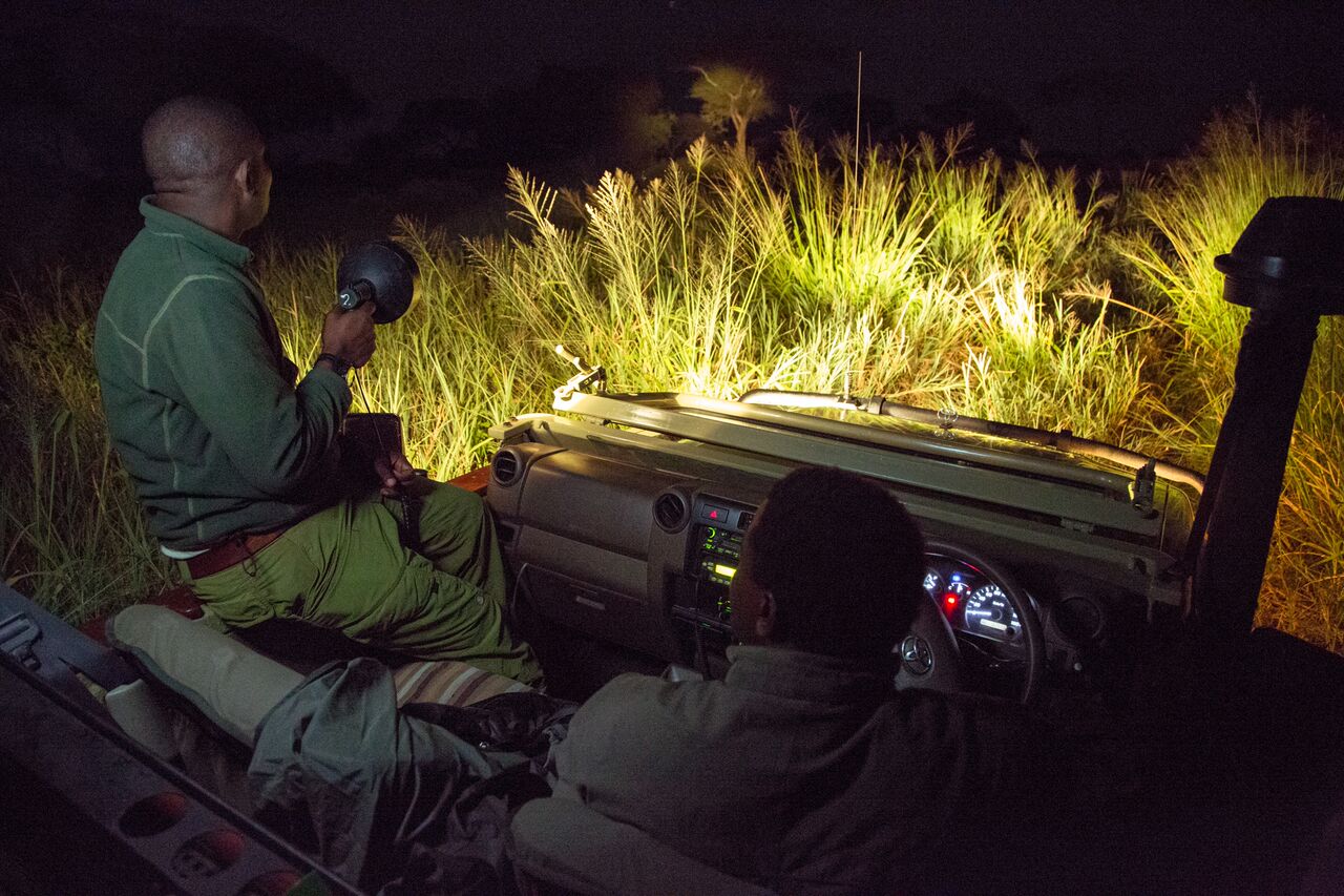 What to expect on Night game drive in Murchison falls national park