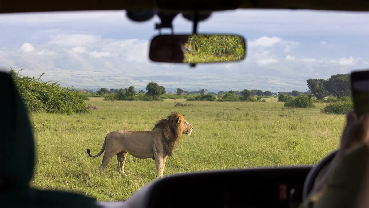 🦁 3 DAYS GUIDED JEEP SAFARI TO QUEEN ELIZABETH NATIONAL PARK (3 Days / 2 Nights)