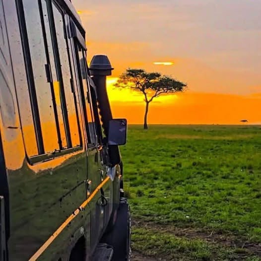 Tipping Etiquette on an Akagera Safari: Who to Tip and How Much?