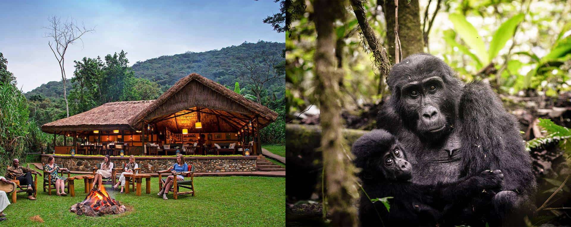 Five-Star Wilderness: What a 12-Day High-End Uganda Safari Really Looks Like
