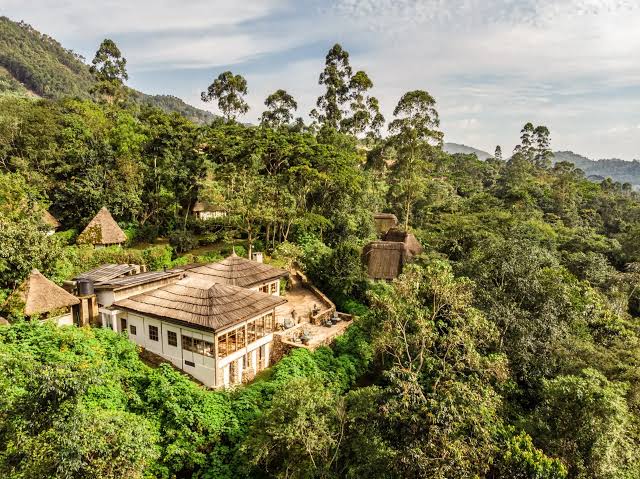 The Ultimate 10-Day Rwanda Primate Safari: An Unforgettable Wildlife Journey