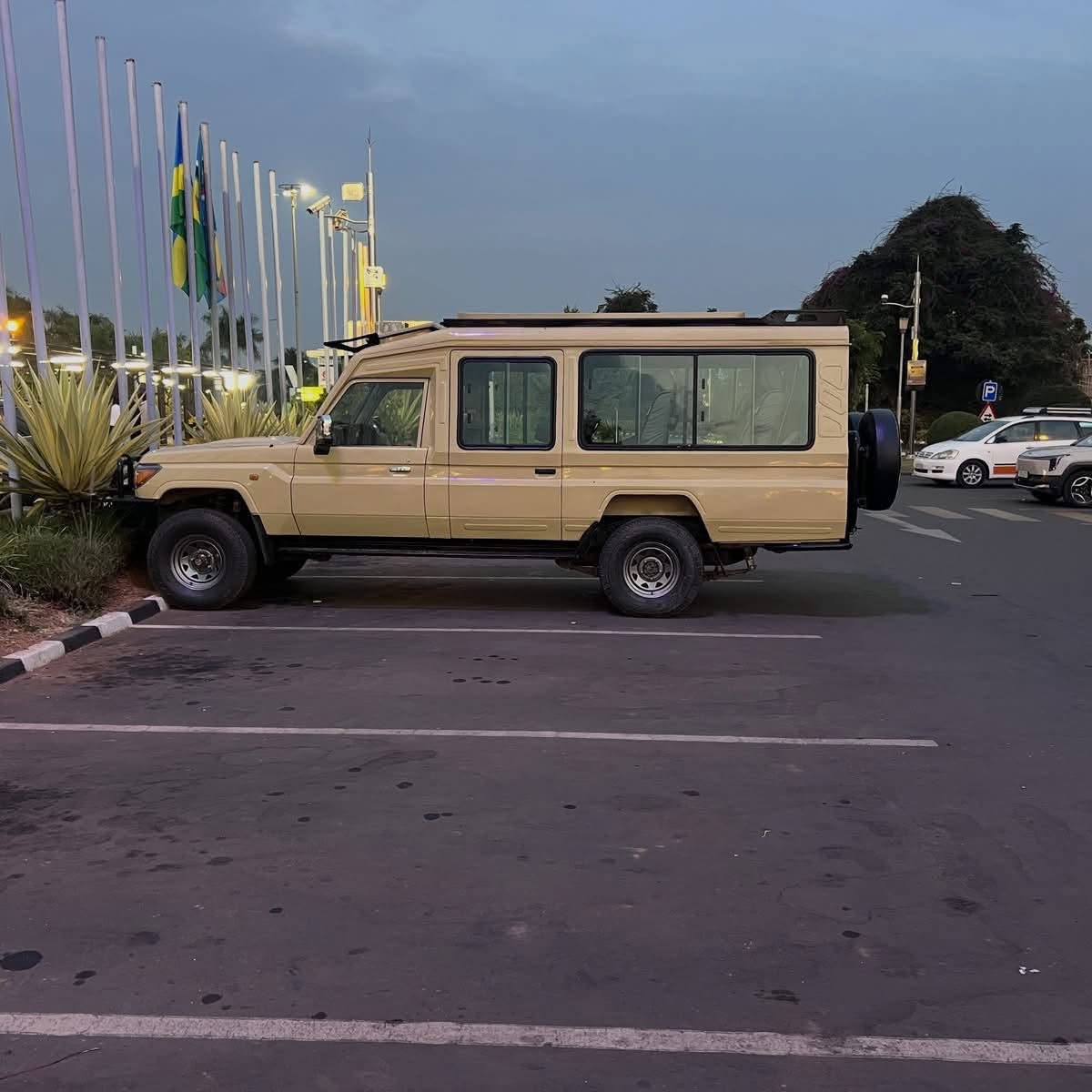 What to Pack for 8 Days of Gorilla and Chimpanzee Trekking