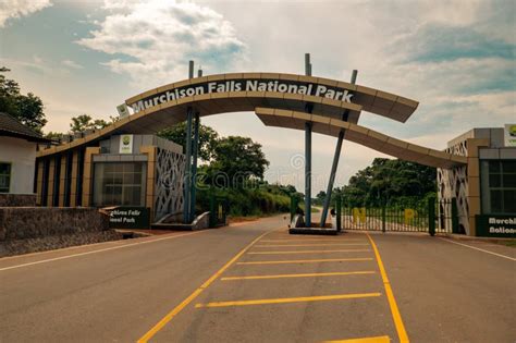 What Does a 4-Day Murchison Falls Safari Actually Cost? (Full Breakdown)