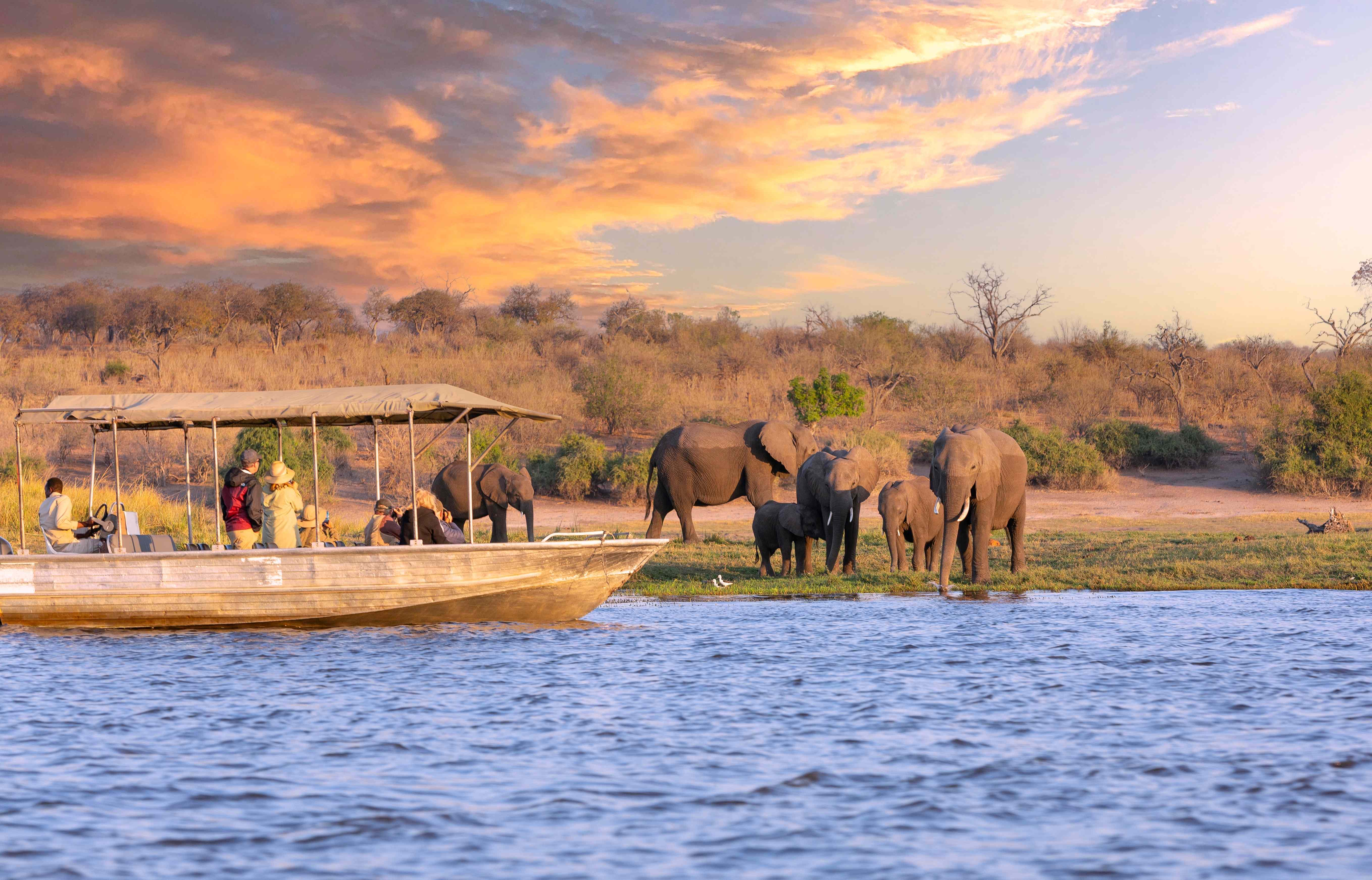 18 DAYS VICTORIA FALLS, ZIMBABWE AND BOTSANA WIDLIFE SAFRAI PARKS