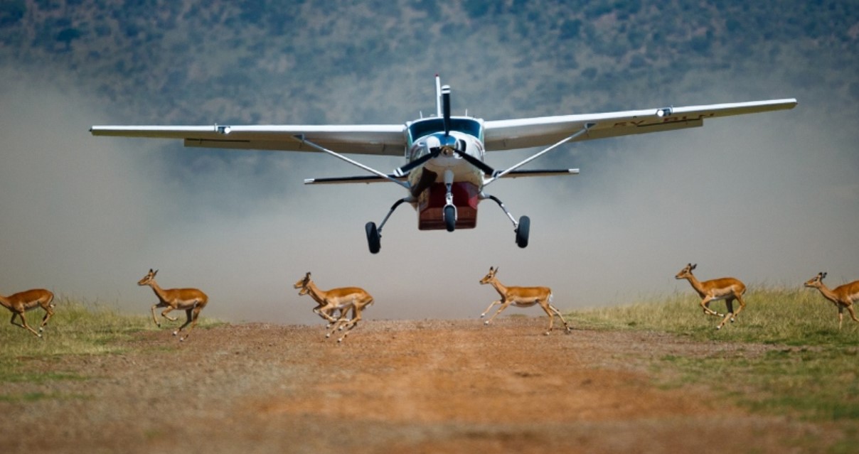 5-day luxury fly-in or drive-in safari to Kidepo Valley National Park